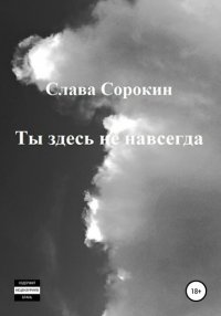 Книга Слава Сорокин Ты здесь не навсегда