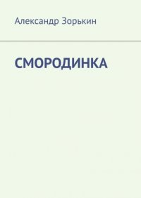Книга Александр Зорькин СМОРОДИНКА