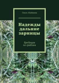 Книга Ольга Абайкина Надежды дальние зарницы. Бредущая по граблям