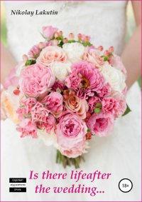 Книга Nikolay Lakutin Is there life after marriage
