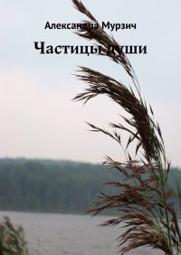 Книга Александра Мурзич Частицы души