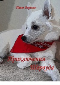 Книга Павел Борисов Приключения Шервуда