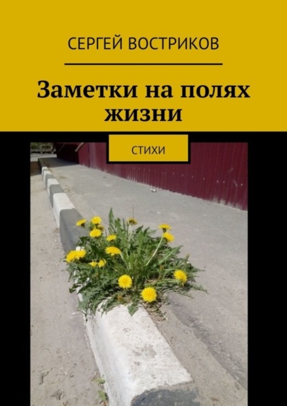 Книга Сергей Востриков Заметки на полях жизни. Стихи
