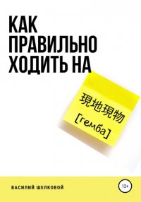Книга Василий Шелковой Как правильно ходить на гемба