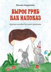 Книга Наташа Андронова, Ваня Нестеров Вырос гриб как напоказ