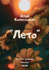 Книга Илай Колесников Лето