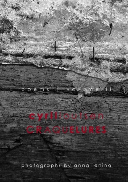 Книга cyril ioutsen craquelures. poems, volume II