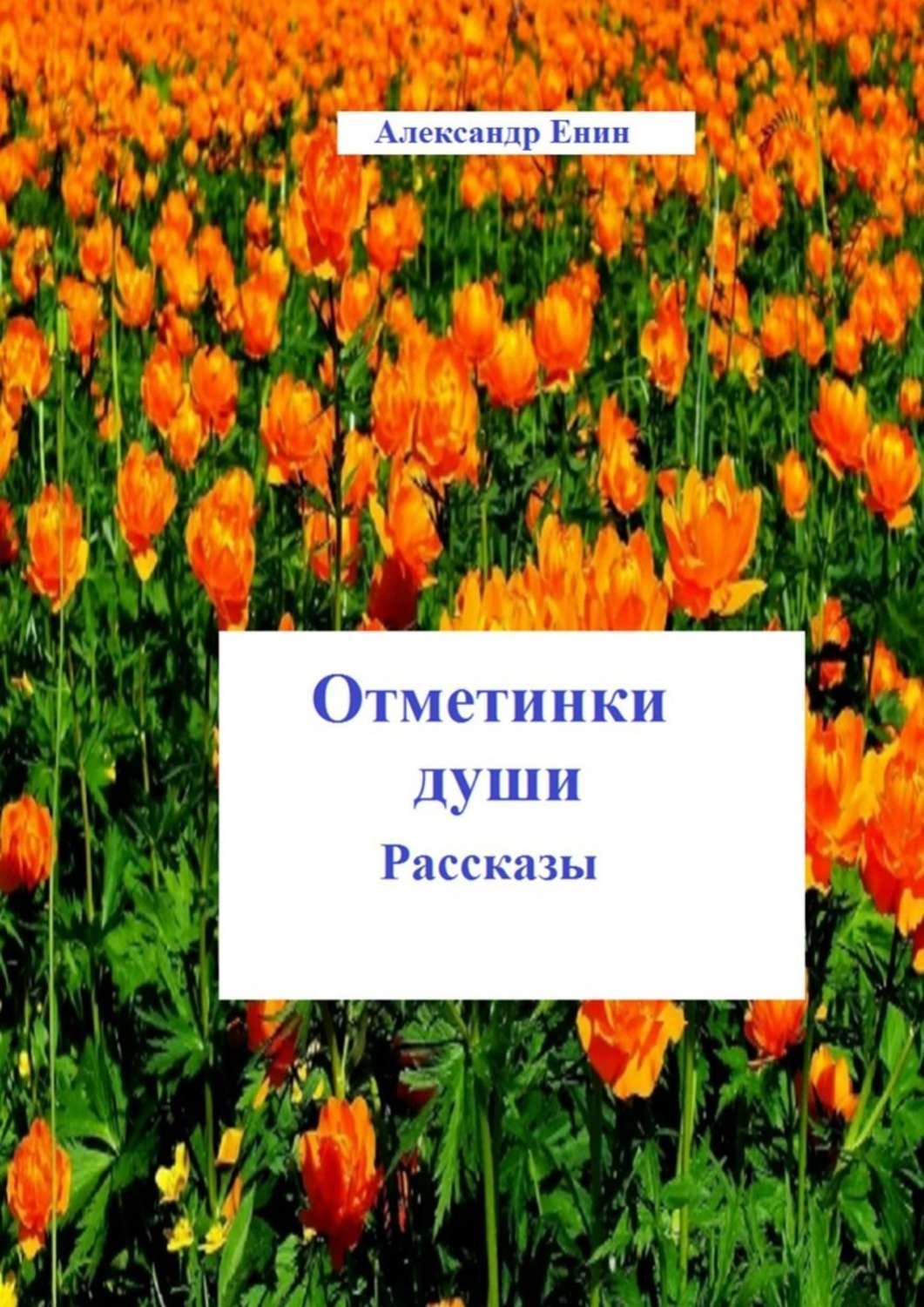 Книга Александр Енин Отметинки души