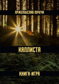 Книга Пржемыслав Почеча Каллиста. Книга-игра