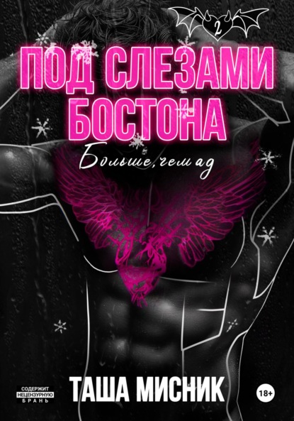 Книга Таша Мисник Под слезами Бостона. Больше, чем ад