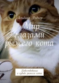 Книга Альбина Редхер Мир глазами рыжего кота. Повествование о судьбе рыжего кота