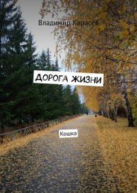 Книга Владимир Карасев Дорога жизни. Кошка