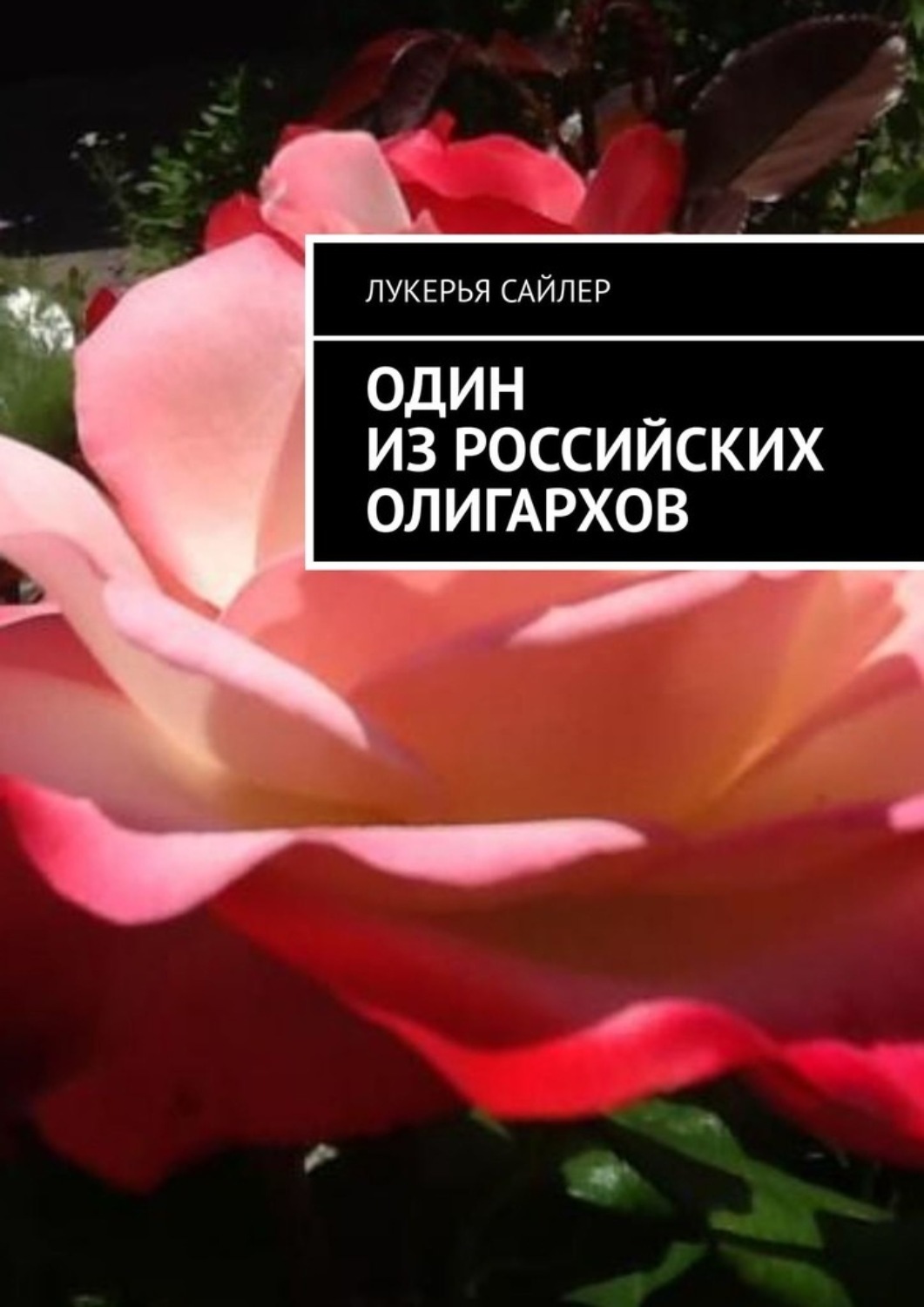 Книга Лукерья Сайлер Один из российских олигархов