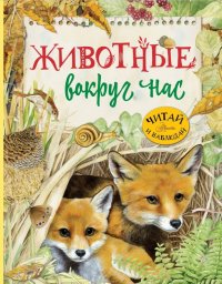 Книга Ренцо Барсотти, Алексей А. Ивашечкин Животные вокруг нас