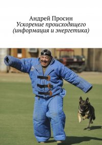 Книга Андрей Просин Ускорение происходящего (информация и энергетика)