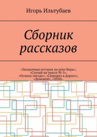 Книга Игорь Ильтубаев Сборник рассказов. «Загадочная история на реке Бирь», «Случай на трассе М-5», «Осиное гнездо», «Сюрприз в дорогу», «Домовой», «2020»