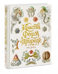 Книга Эрнст Геккель Красота форм в природе