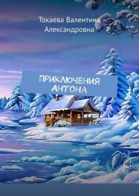 Книга Валентина Александровна Токаева Приключения Антона