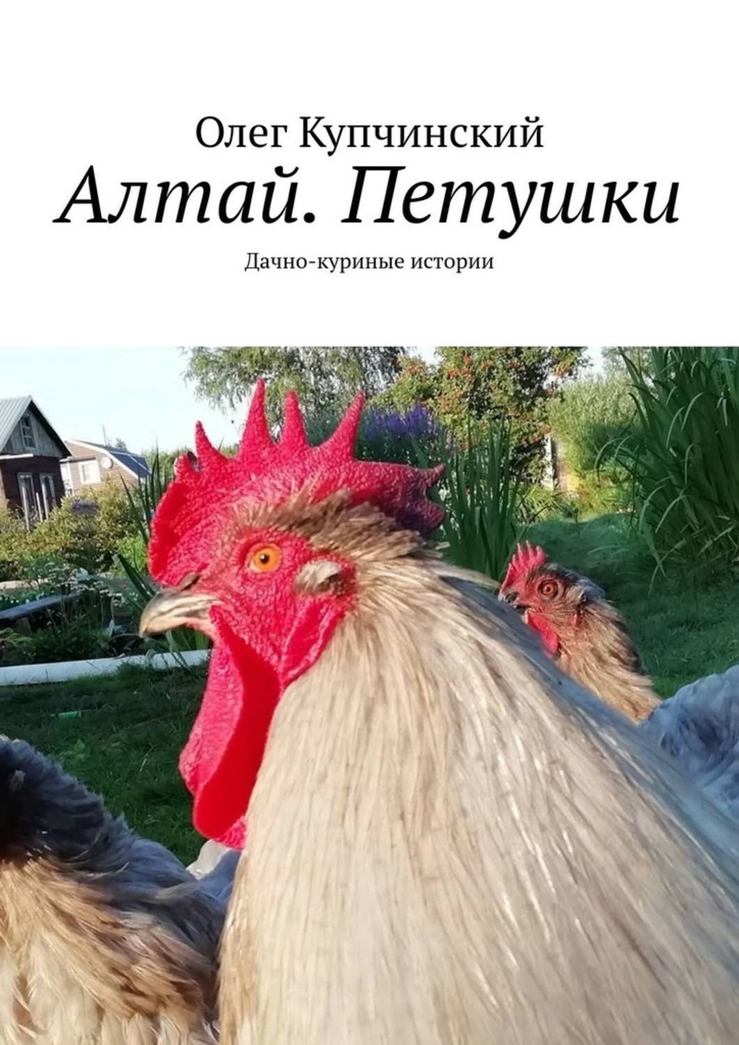 Книга Олег Купчинский Алтай. Петушки. Дачно-куриные истории