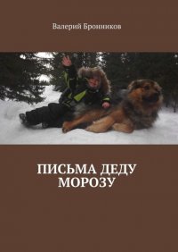 Книга Валерий Бронников Письма деду Морозу