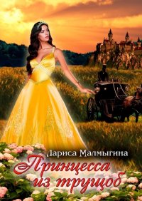 Книга Лариса Малмыгина Принцесса из трущоб. Фэнтези