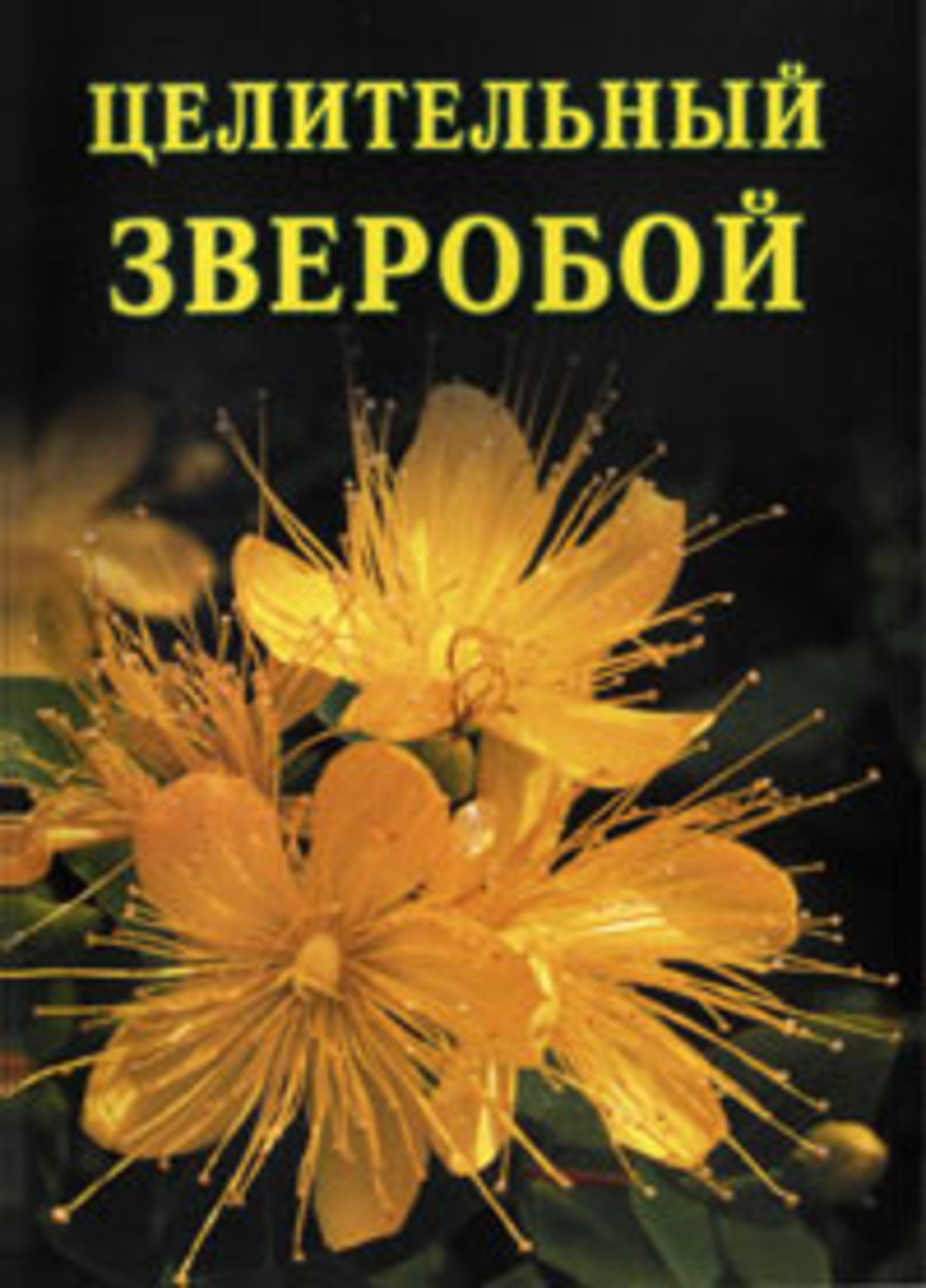Книга Иван Дубровин Целительный зверобой
