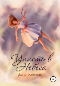 Книга Данис Маннапов Упасть в Небеса