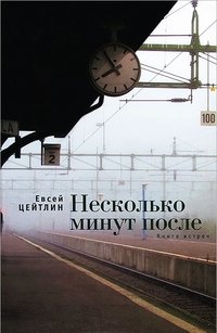 Книга Евсей Цейтлин Несколько минут после. Книга встреч