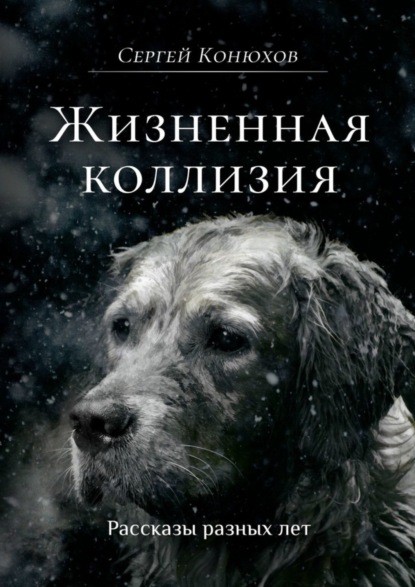 Книга Сергей Конюхов Жизненная коллизия