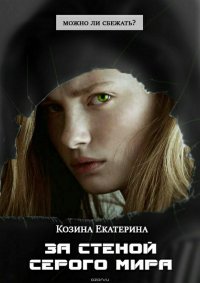 Книга Екатерина Козина За стеной серого мира