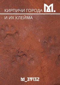 Книга М_39132 Кирпичи города М. И их клейма