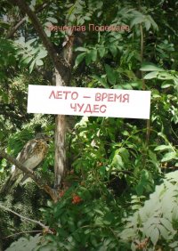 Книга Вячеслав Полежаев Лето – время чудес