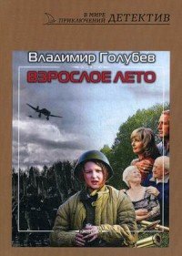 Книга Владимир Голубев Взрослое лето