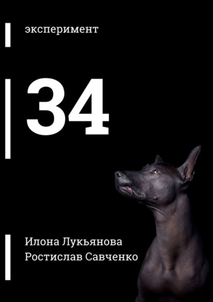 Книга Илона Романовна Лукьянова 34