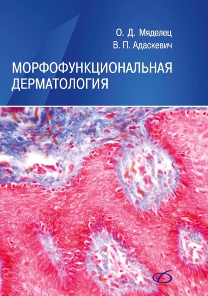 Книга Владимир Адаскевич Морфофункциональная дерматология