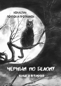 Книга Эльвира Шабаева Черным по белому. Книга вторая