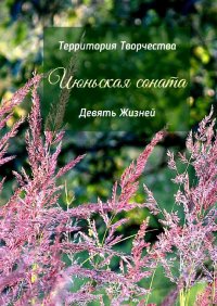 Книга Валентина Спирина Июньская соната. Девять Жизней