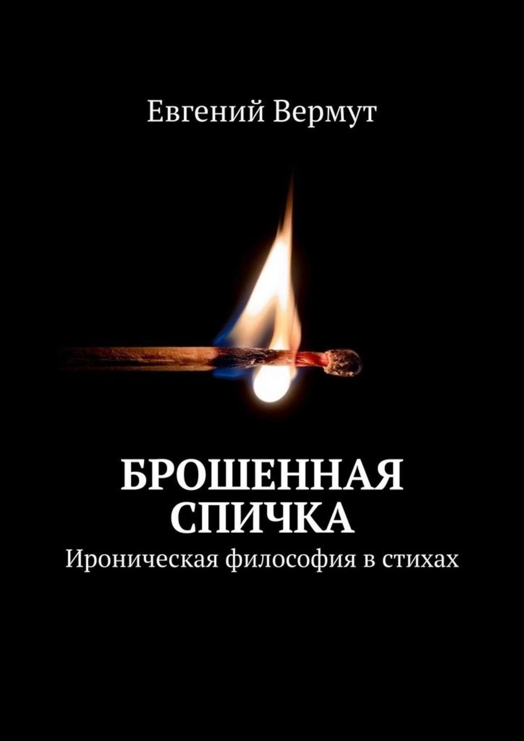 Книга Евгений Вермут Брошенная спичка. Ироническая философия в стихах