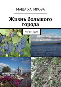 Книга Маша Халикова Жизнь большого города. Стихи, 2008