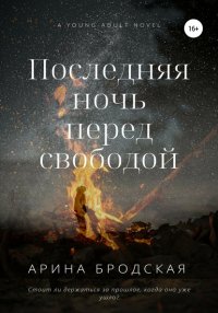 Книга Арина Дмитриевна Бродская Последняя ночь перед свободой
