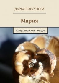 Книга Дарья Сергеевна Ворсунова Мария. Рождественская трагедия