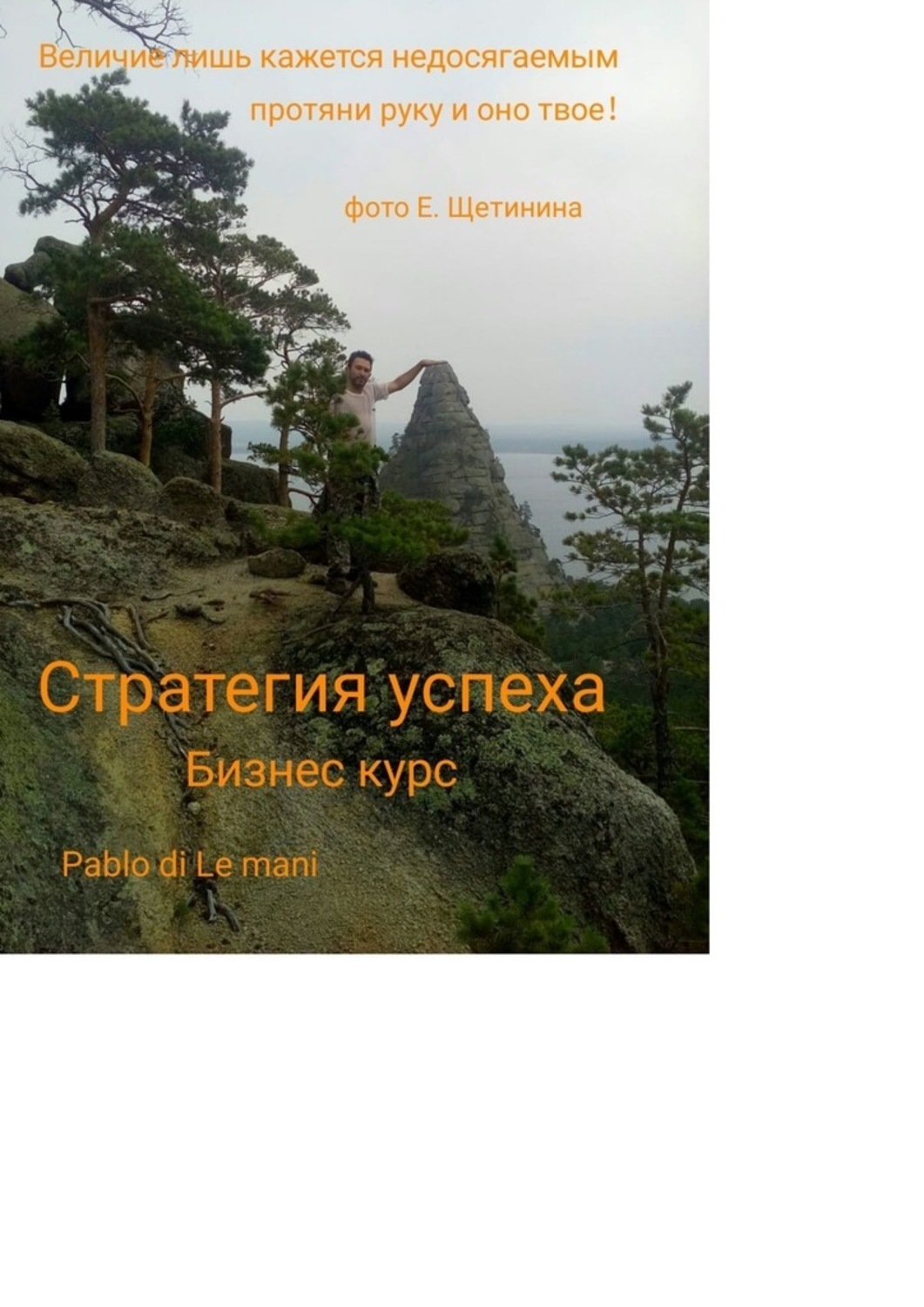 Книга Павел Ширшов Стратегия успеха
