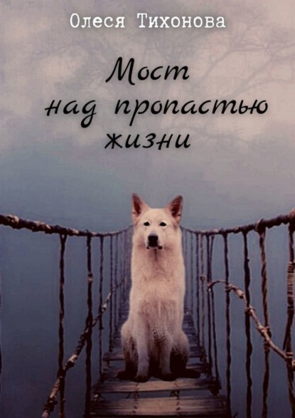 Книга Олеся Тихонова Мост над пропастью жизни