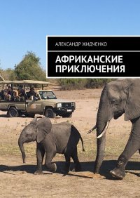 Книга Александр Жидченко Африканские приключения
