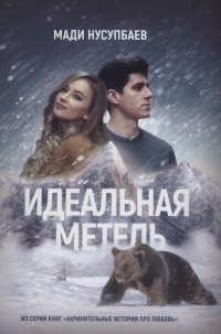 Книга Мади Нусупбаев Идеальная метель
