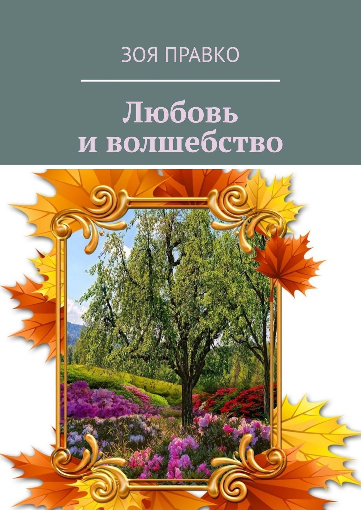Книга Зоя Правко Волшебные истории