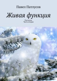 Книга Павел Патлусов Живая функция. Рассказы. Часть вторая