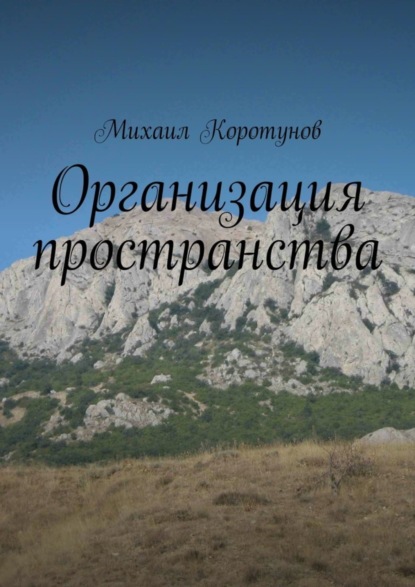 Книга Михаил Викторович Коротунов Организация пространства