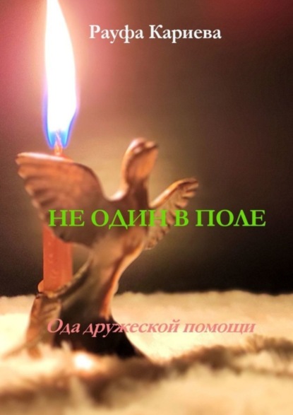 Книга Рауфа Кариева Не один в поле. Ода дружеской помощи