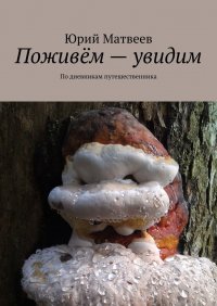 Книга Юрий Матвеев Поживём – увидим. По дневникам путешественника